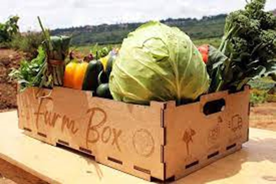 Kigali Thomas More International